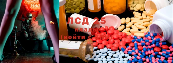 таблы Новозыбков